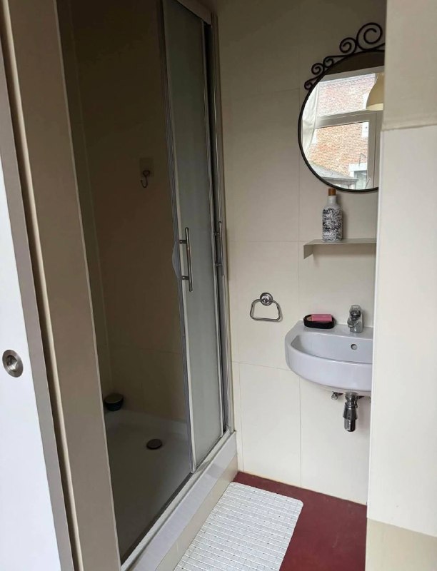 Studio meublé 29m² – Avenue Jean Jaurès, Lyon 7ᵉ - Image 5